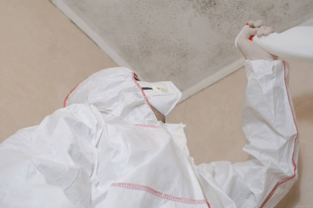 Best Home Mold Removal  in Ossian, IN